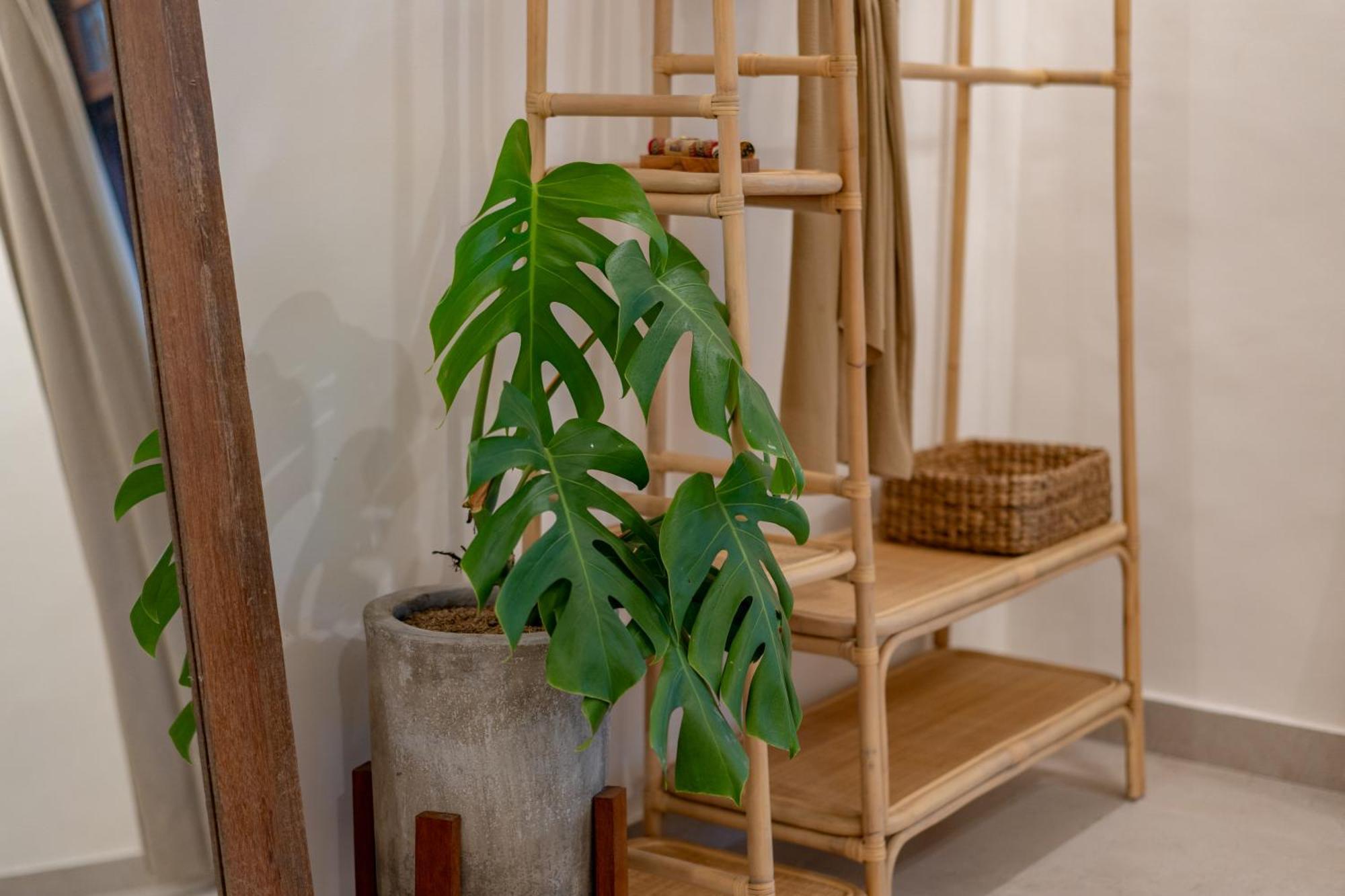 Cozy Up Villa Sanur Екстер'єр фото
